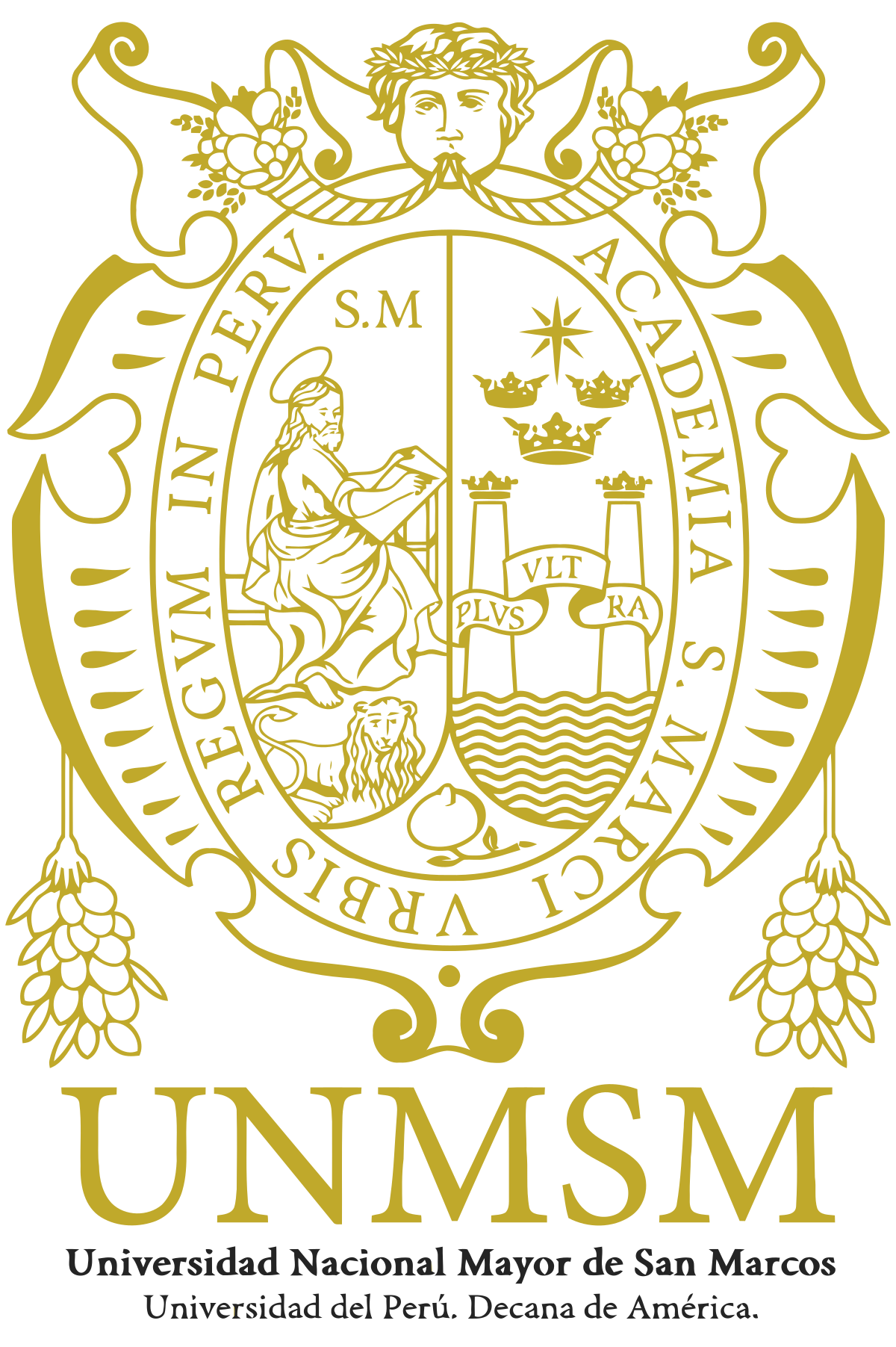 unmsm 2